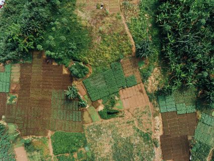 An aerial, top-down view of a patchwork of small agricultural plots and lush green vegetation.