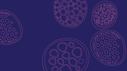 Decorative pattern of circular shapes with intricate geometric designs on a deep purple background