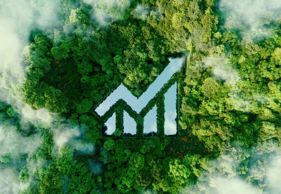 Aerial view of a lush green forest with a rising arrow and bar chart shape carved through the trees, symbolizing sustainable growth.